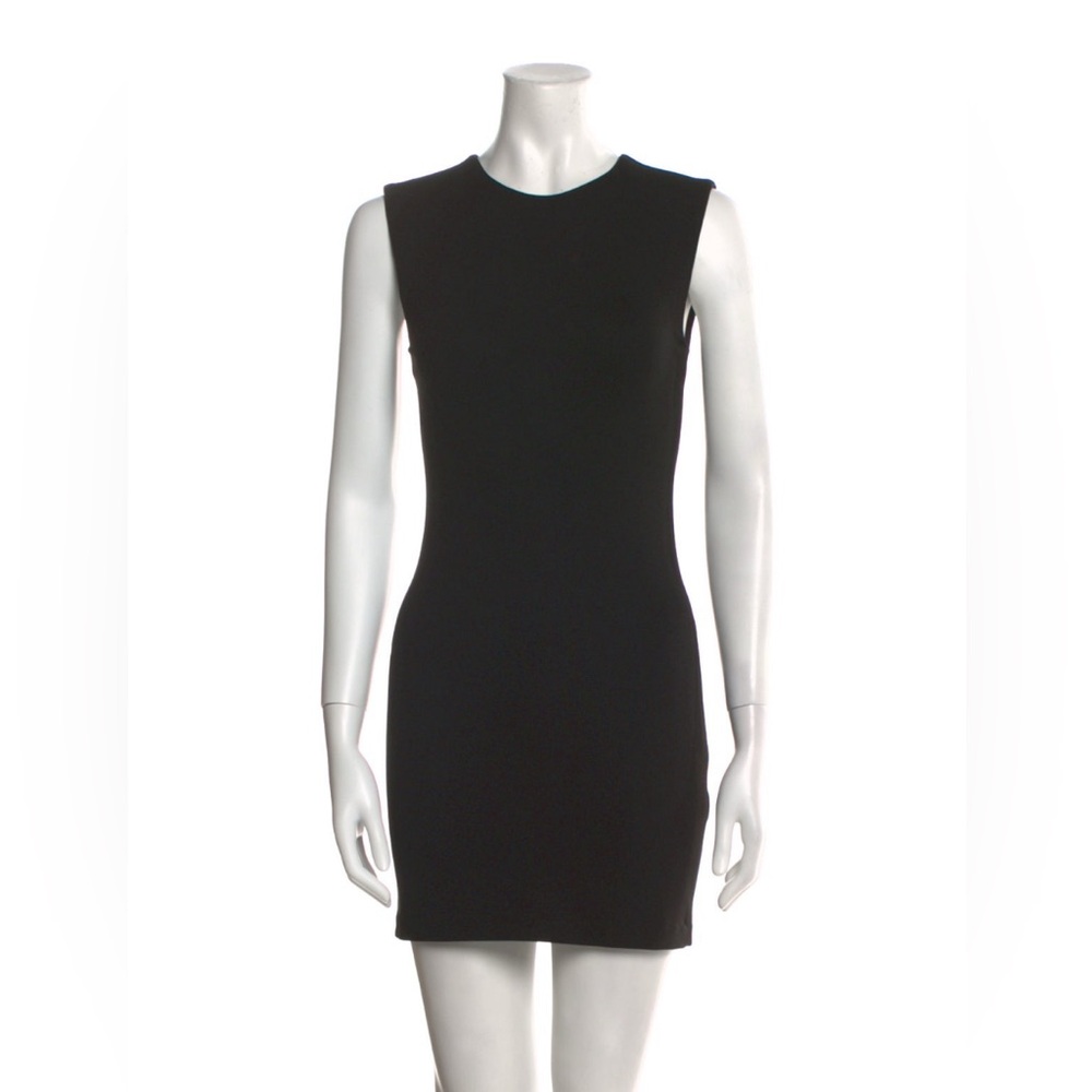 Helsa Black Sleeveless Mini Dress